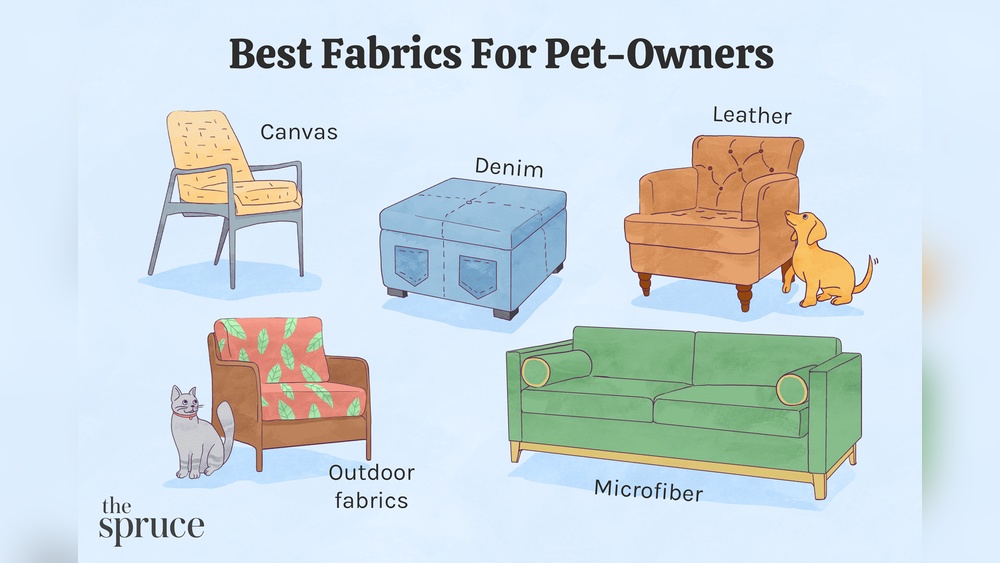Best Furniture for Dog Owners