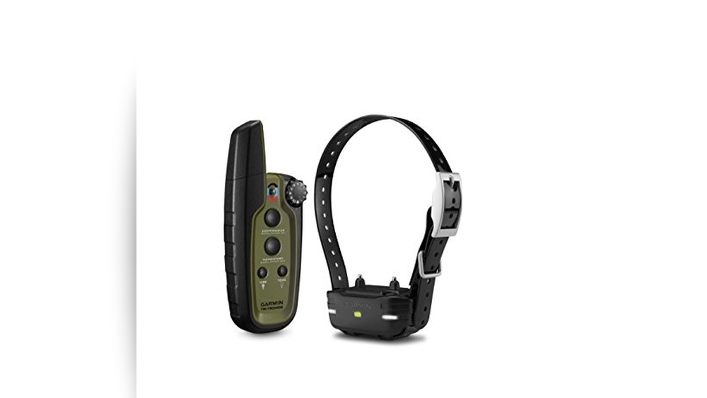 Best Garmin Dog Training Collar