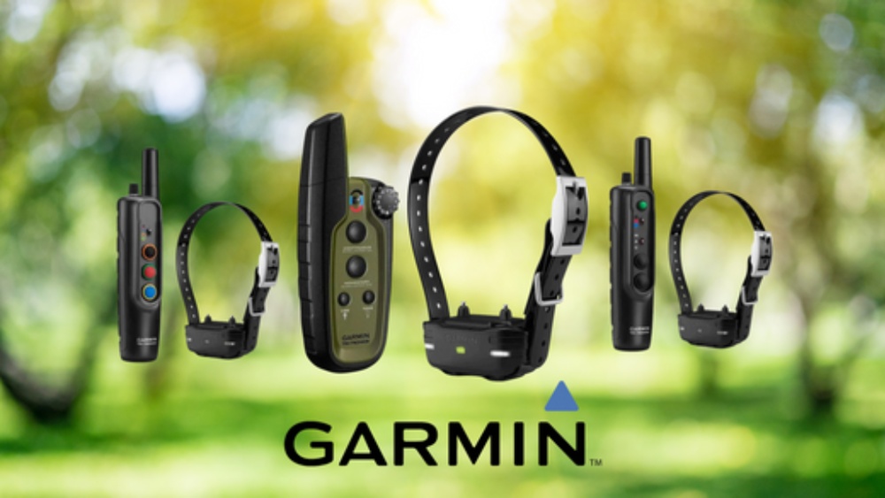 Best Garmin Dog Training Collar