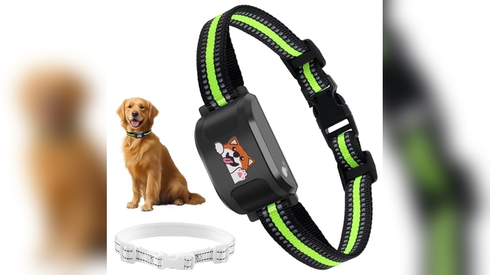 Best Geo Fence Dog Collars