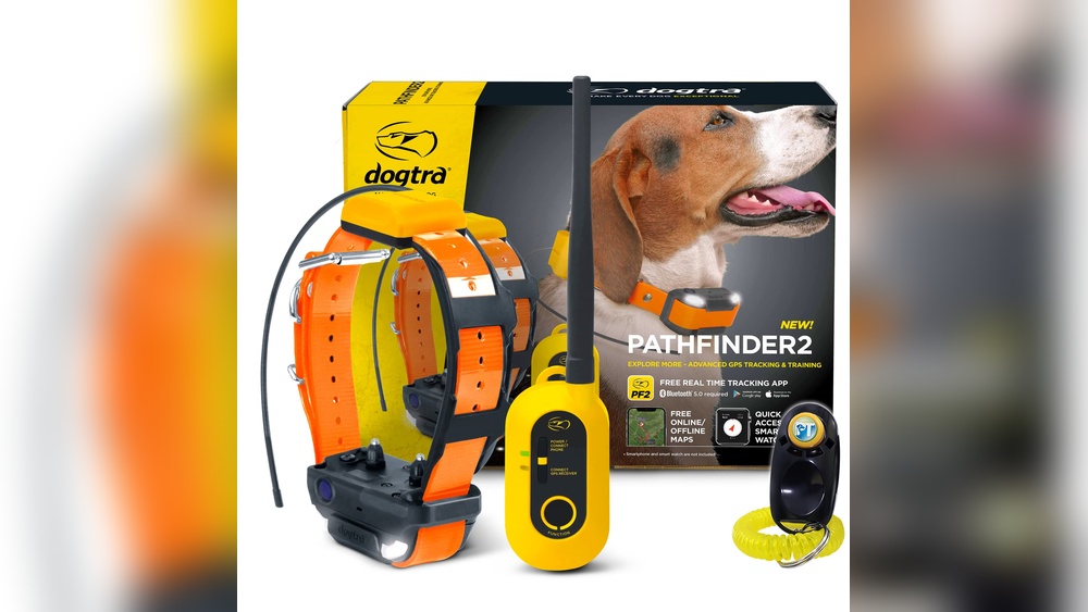 Best Geo Fence Dog Collars