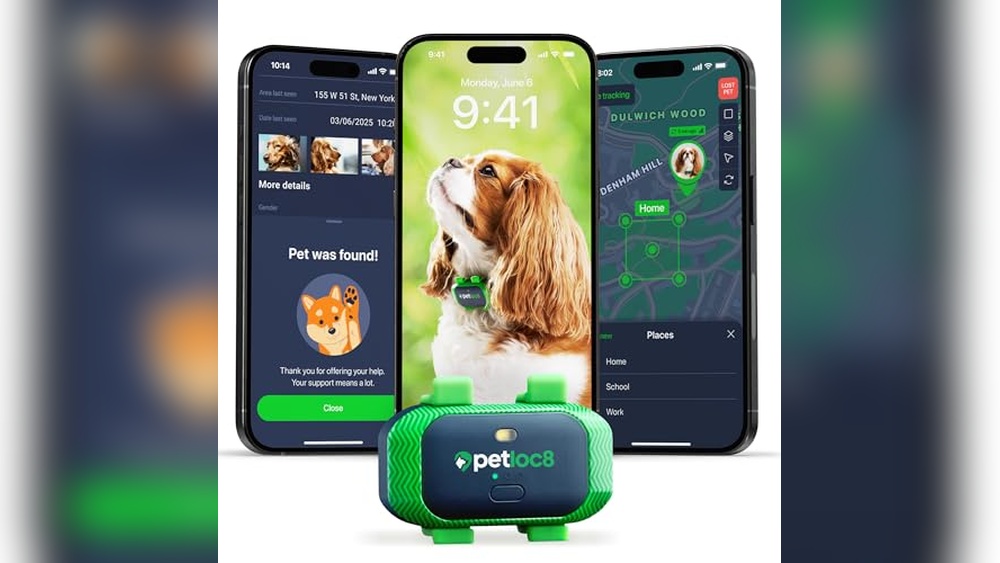 Best Geo Fence for Dogs