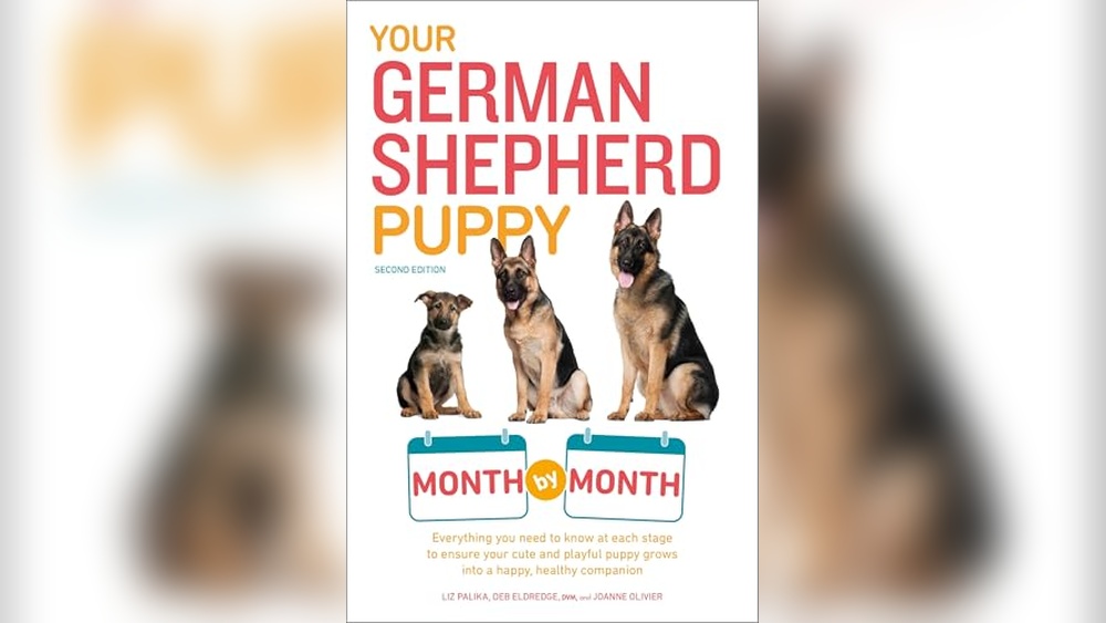 Best German Shepherd Dog Training Book