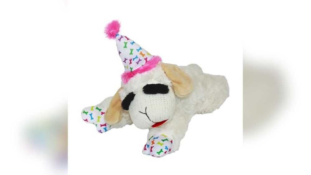 Best Gifts for Dogs Birthday