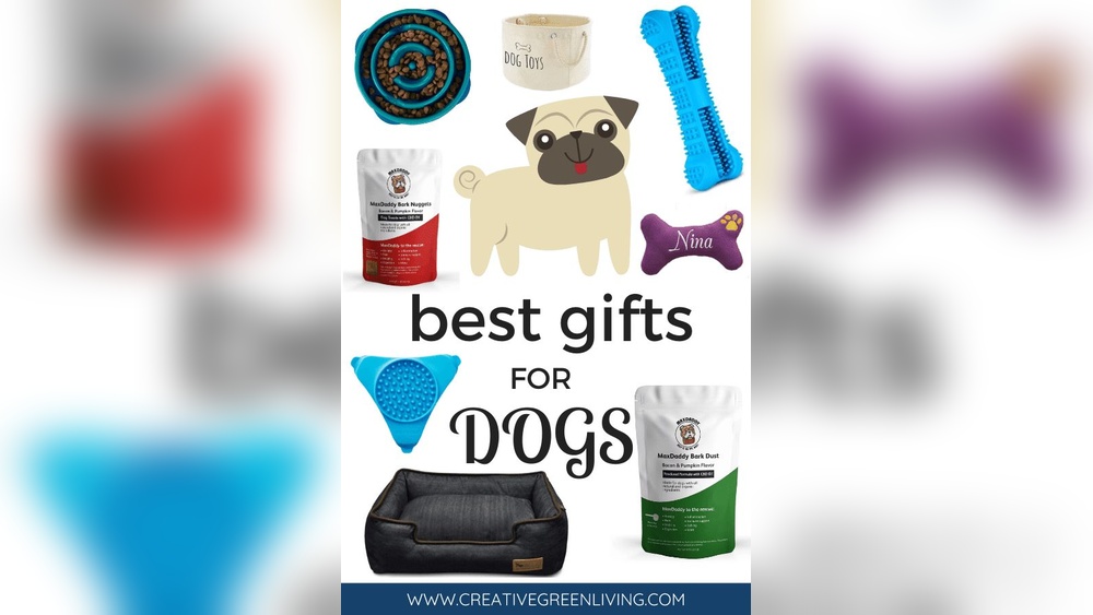 Best Gifts for Dogs Birthday