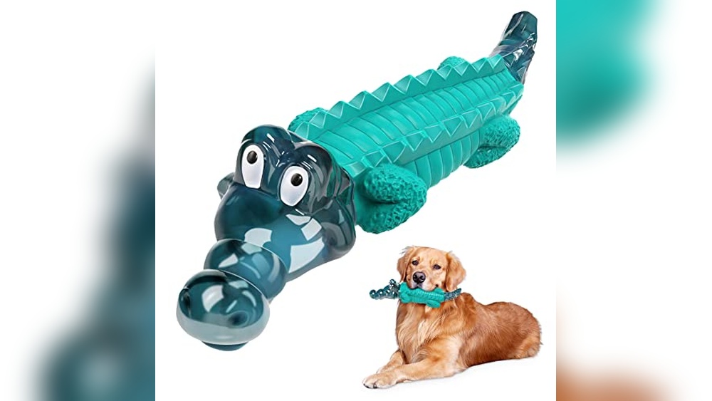 Best Gifts for Large Dogs