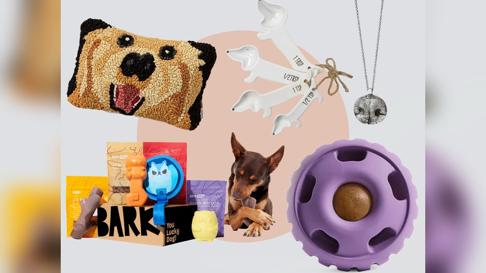 Best Gifts for Your Dog