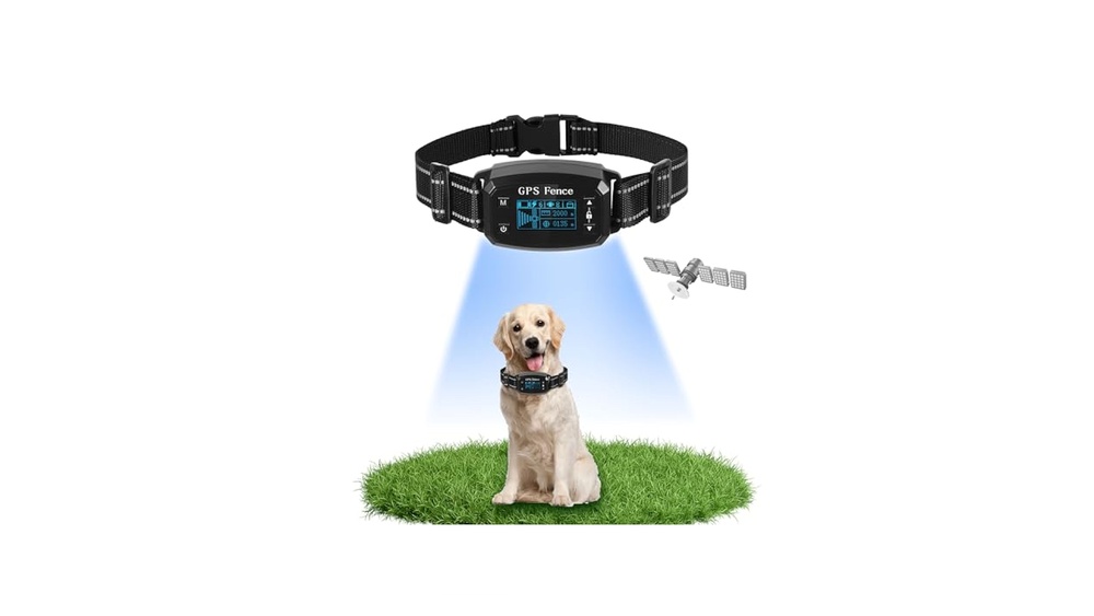 Best GPS Electric Dog Fence: Ultimate Safety and Freedom Guide