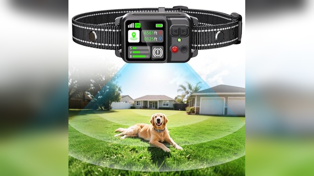 Best Gps Fence Collar for Small Dogs