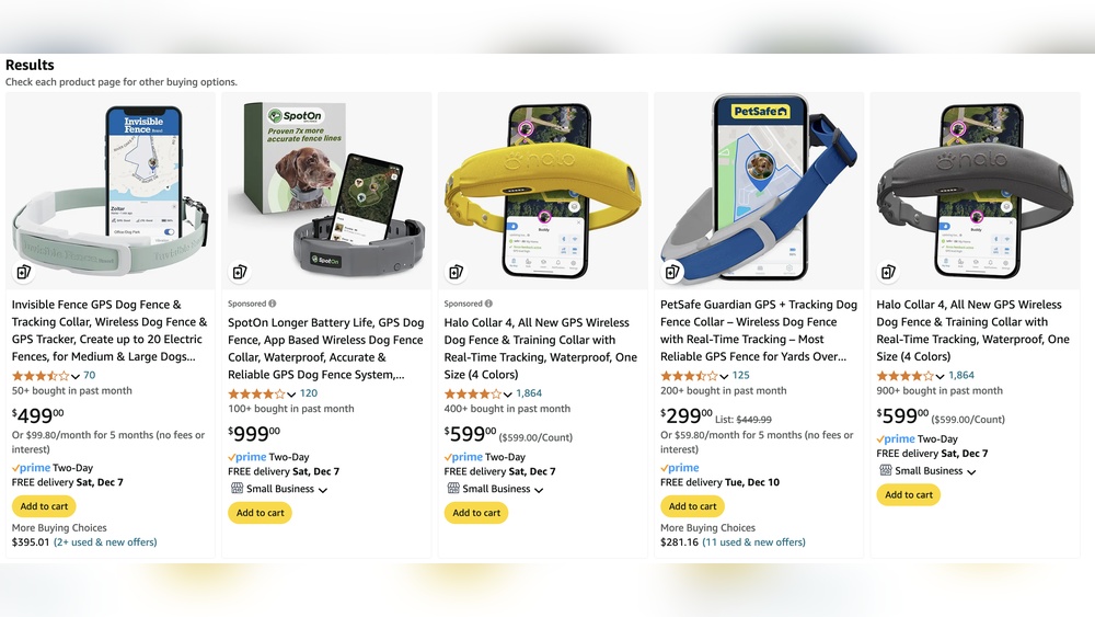Best Gps Fence Collar for Small Dogs
