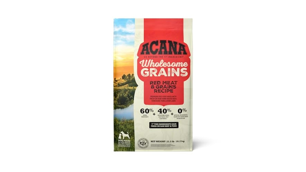 Best Grain Food for Dogs