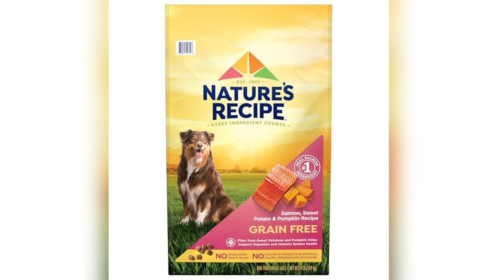 Best Grain Free Food for Dogs