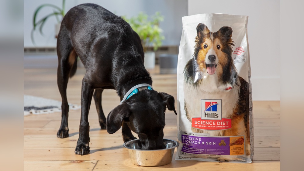 Best Grain Free Sensitive Stomach Dog Food