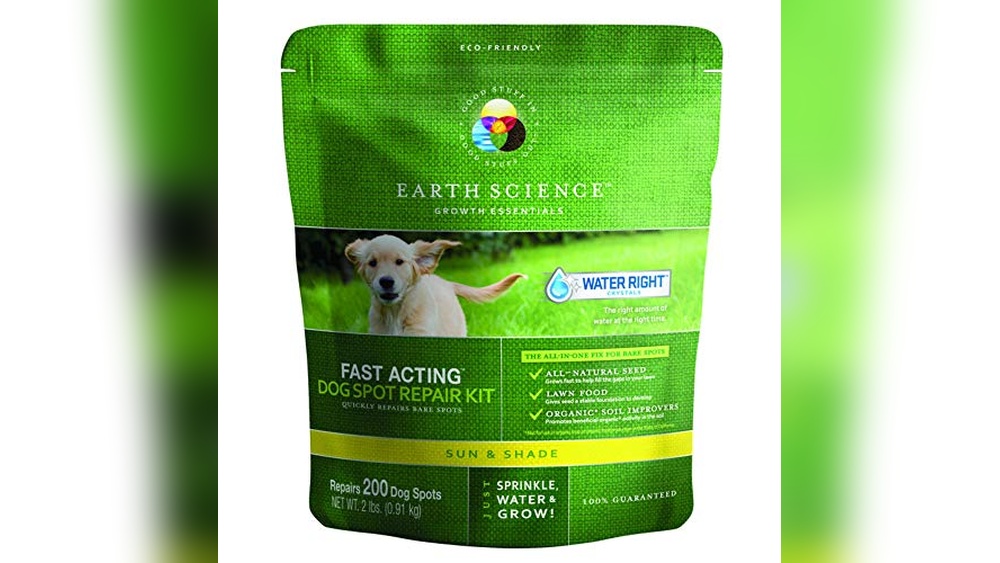 Best Grass for Dogs in Colorado