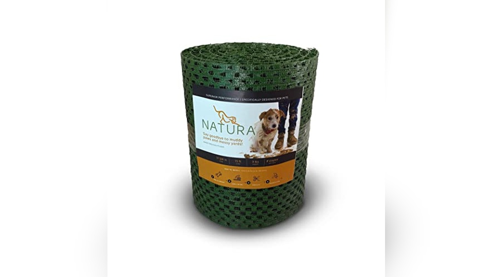 Best Grass for Yard With Dogs