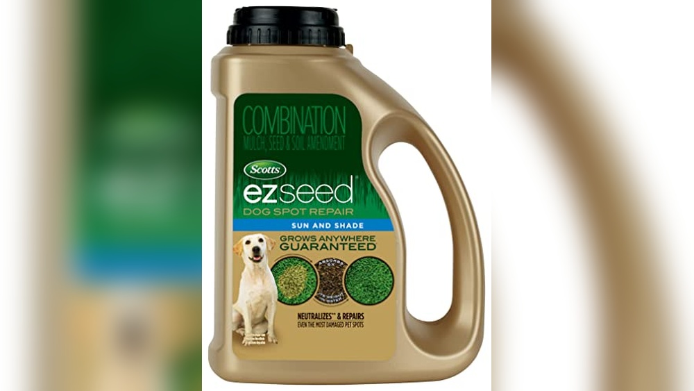 Best Grass Seed for Yards With Dogs
