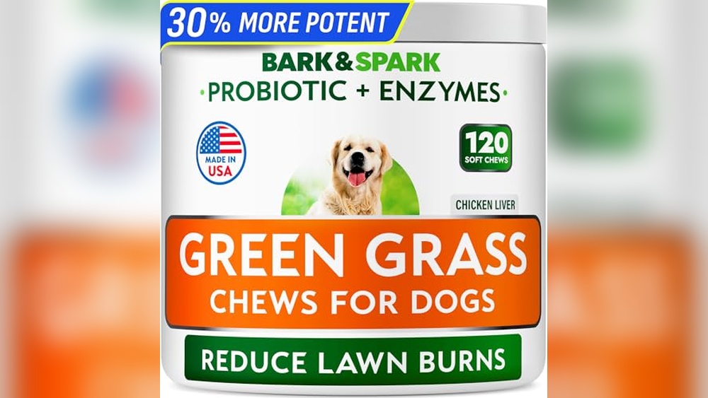 Best Grass Type for Dogs