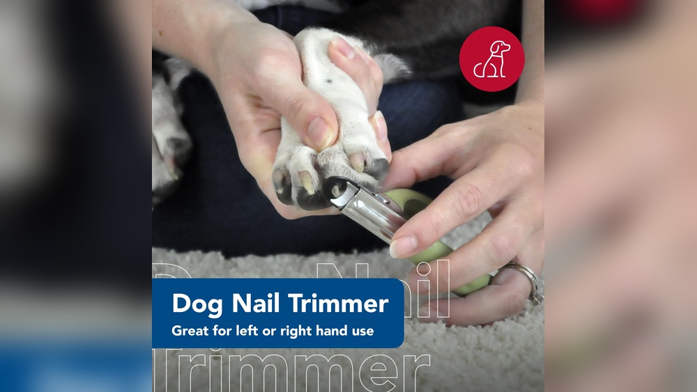 Best Guillotine Dog Nail Clippers