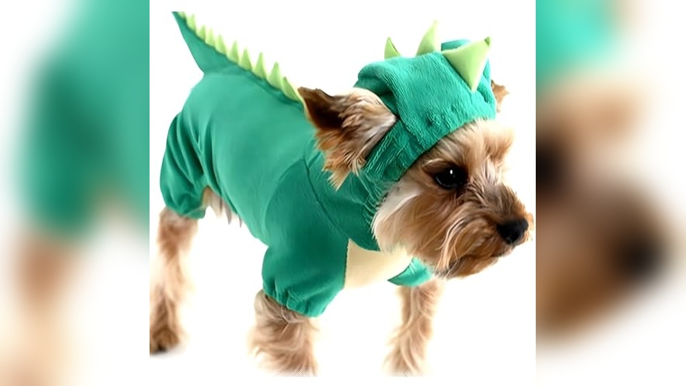 Best Halloween Costumes for Small Dogs