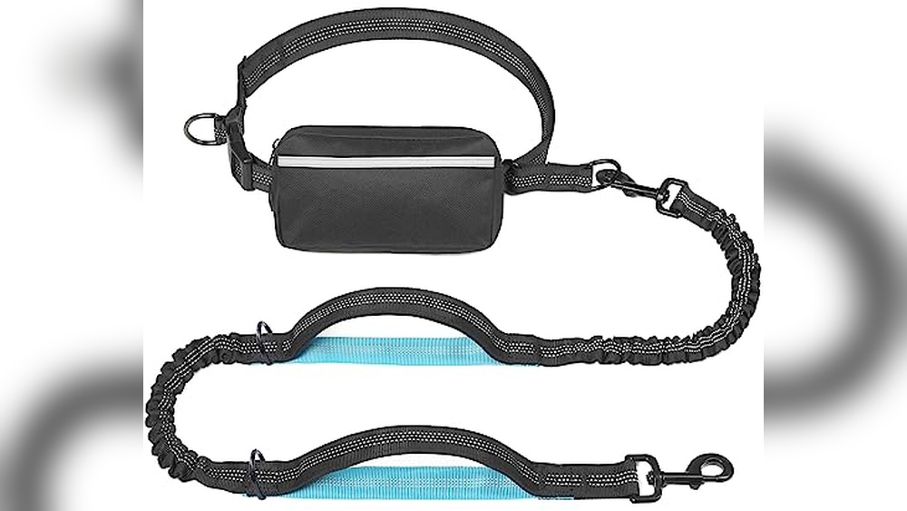Best Hand Free Dog Leash