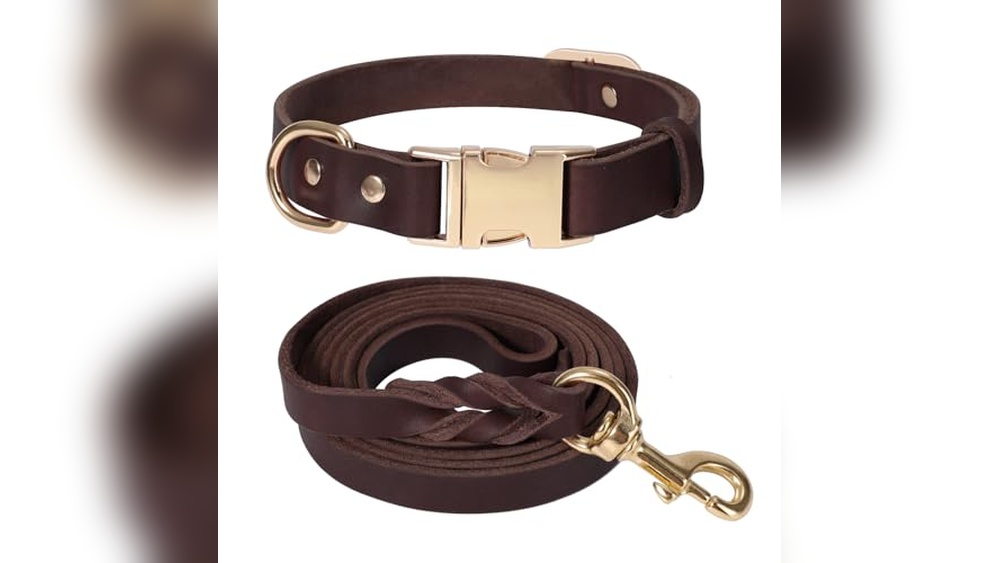 Best Handmade Leather Dog Collars And Leashes