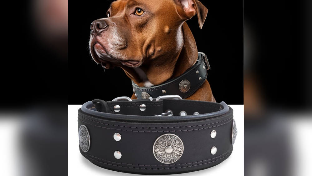 Best Handmade Leather Dog Collars And Leashes