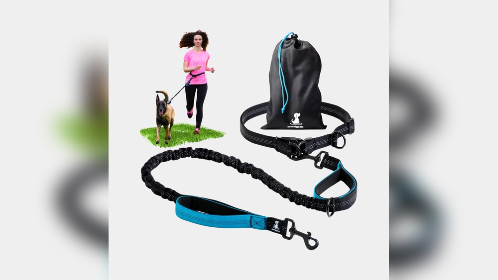 Best Hands Free Leash for Dogs