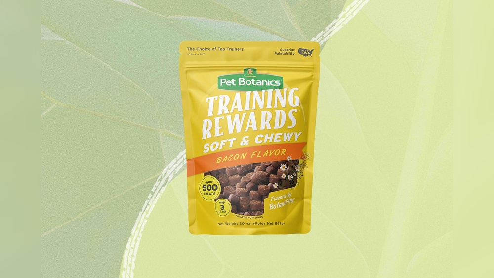 Best Healthy Dog Treats for Training