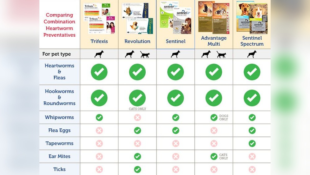 Best Heartworm And Flea And Tick Prevention for Dogs
