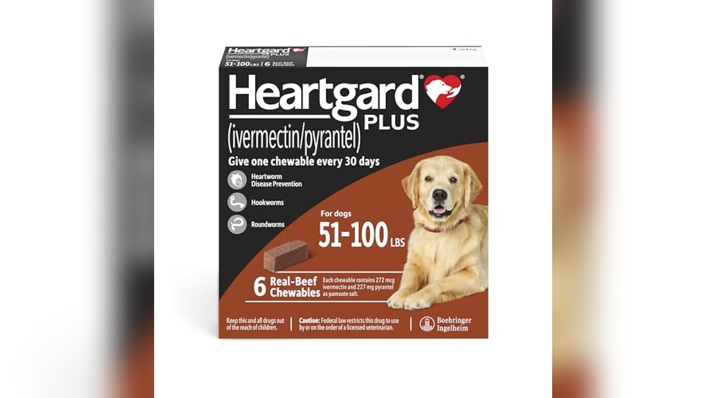 Best Heartworm Tablets for Dogs