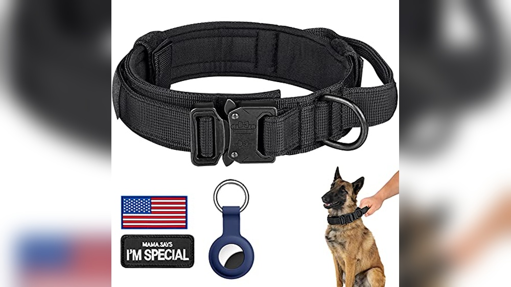 Best Heavy Duty Dog Collar