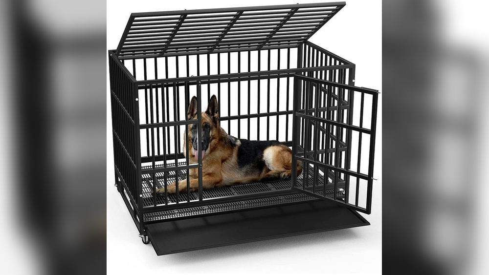 Best Heavy Duty Dog Crate for Separation Anxiety