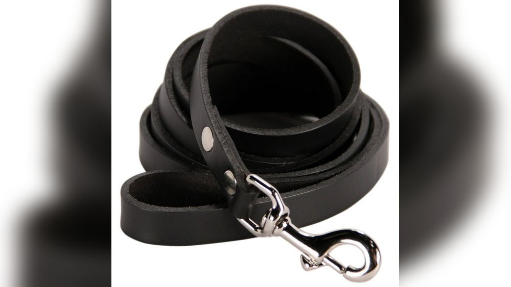 Best Heavy Duty Dog Leash