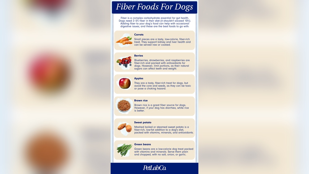 Best High Fiber Dry Dog Food