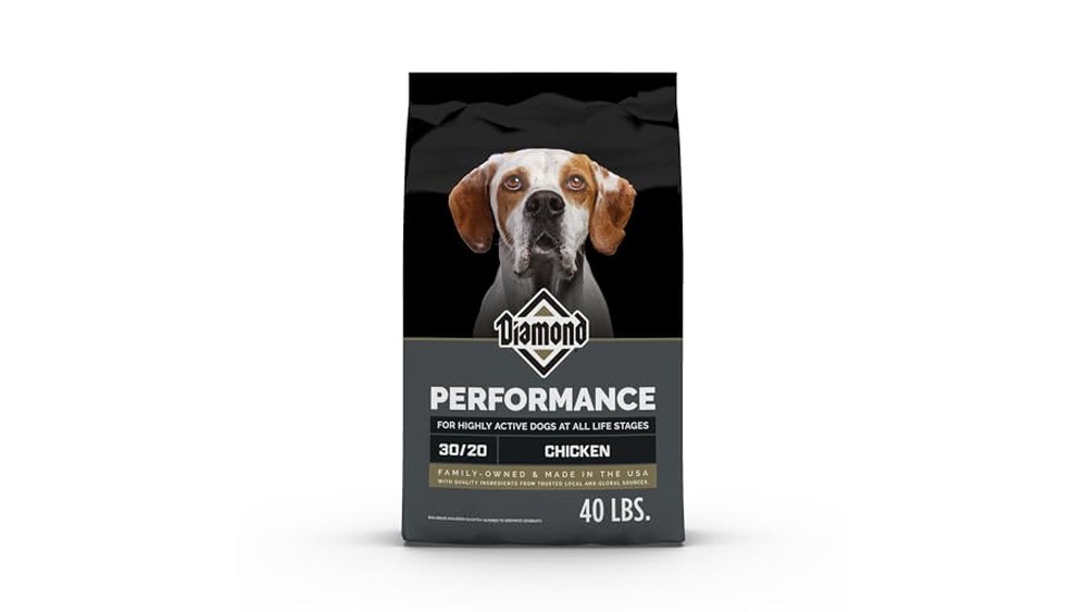 Best High Performance Dog Food