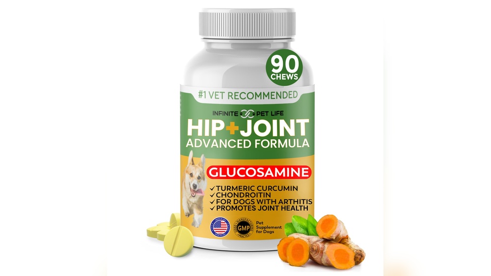 Best Hip And Joint for Large Dogs