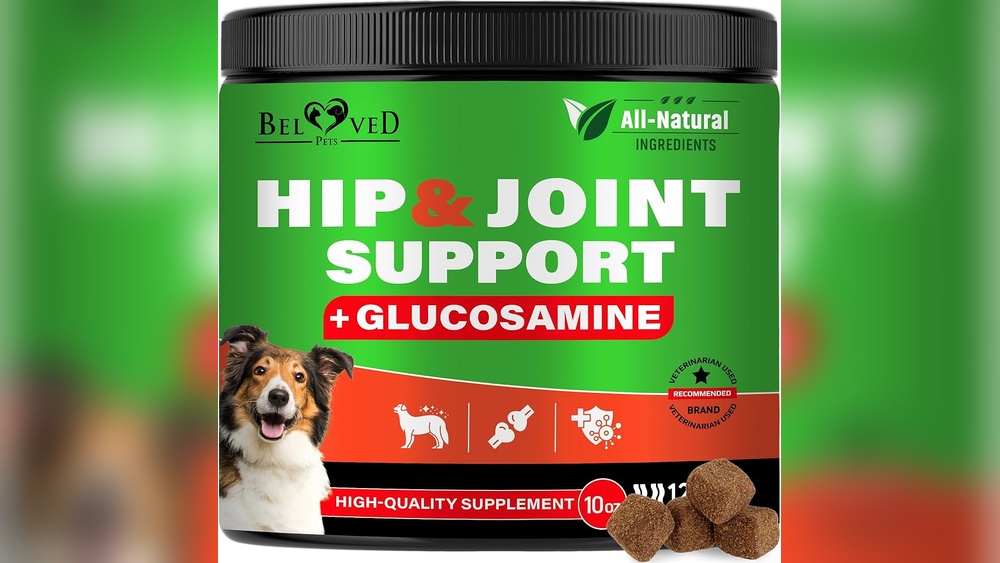 Best Hip And Joint Treats for Dogs