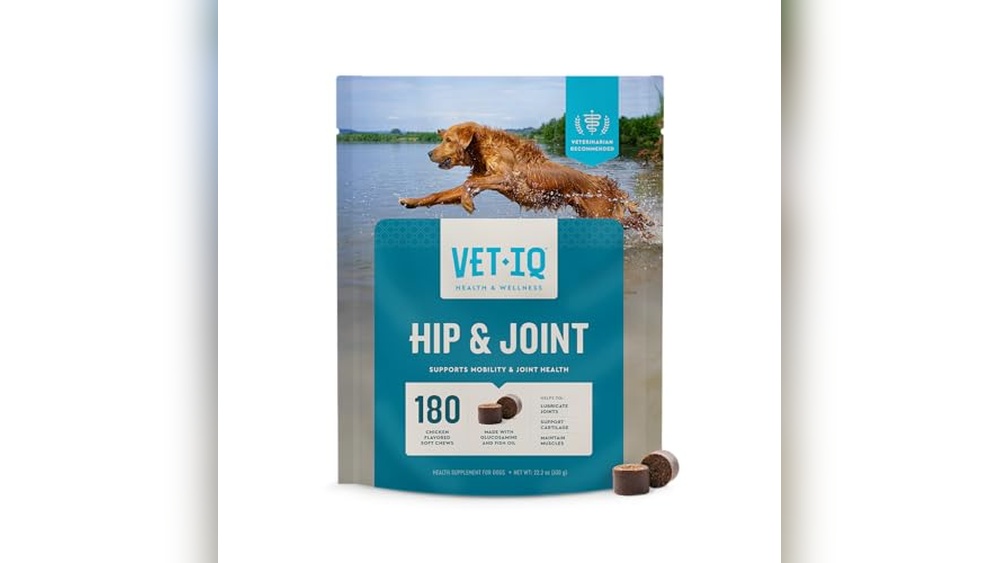 Best Hip Dysplasia Supplements for Dogs