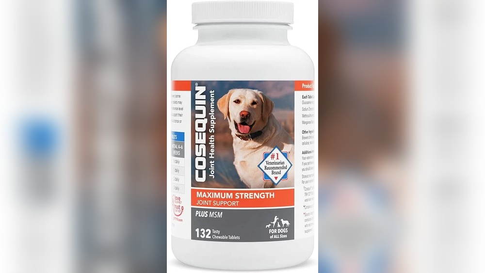 Best Hip Dysplasia Supplements for Dogs: Top Effective Solutions