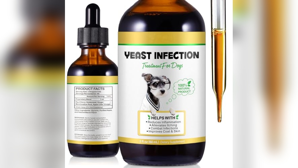 Best Home Remedy for Dog Yeast Ear Infection
