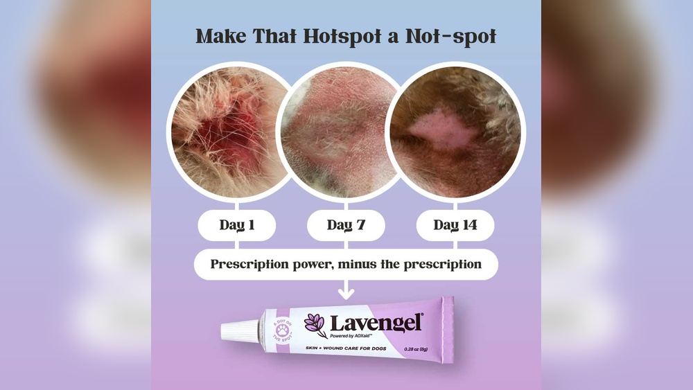 Best Hot Spot Cream for Dogs