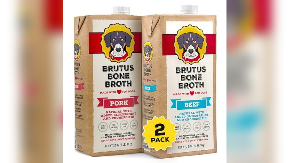Best Human Bone Broth for Dogs