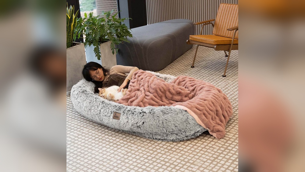 Best Human Dog Bed for Adults