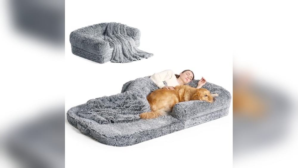 Best Human Sized Dog Bed