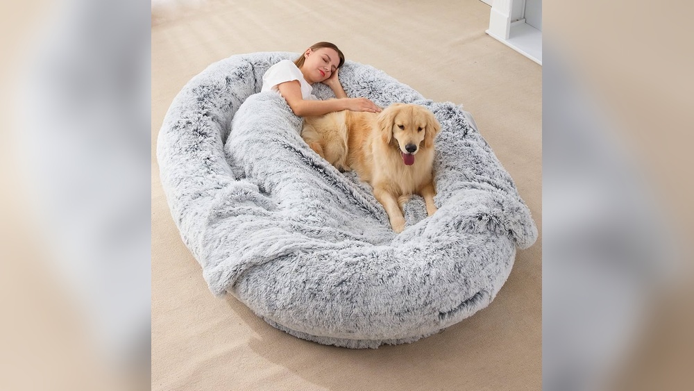 Best Human Sized Dog Bed