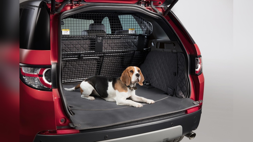 Best Hybrid Cars for Dogs
