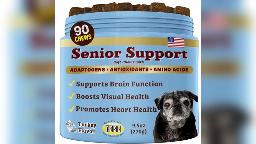 Best Hypoallergenic Dogs for Seniors
