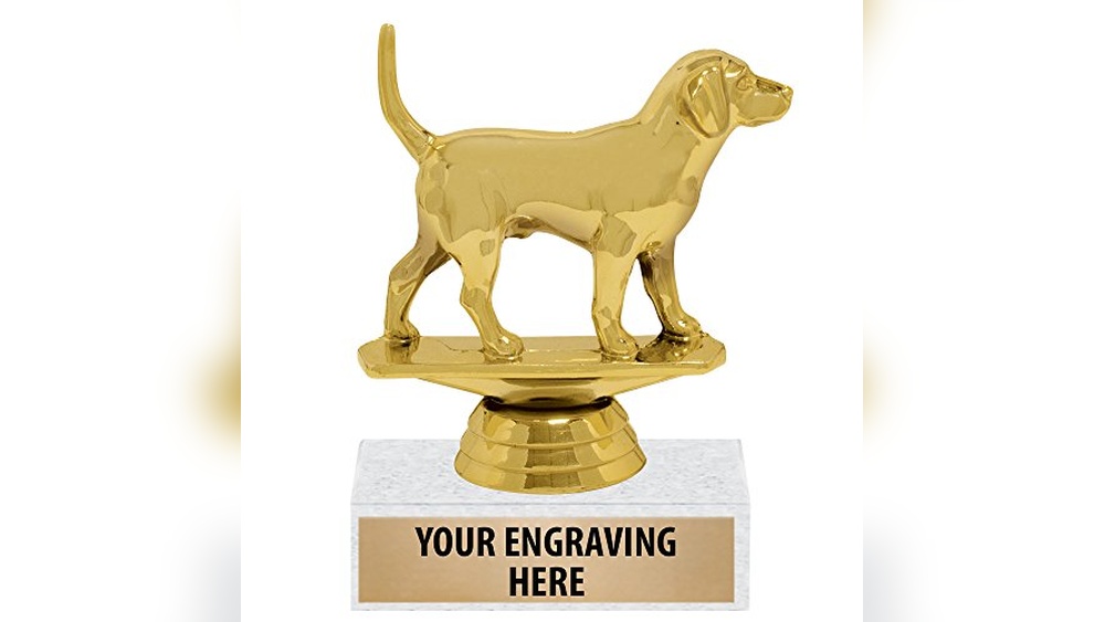 Best in Rescue Dog Show 2025