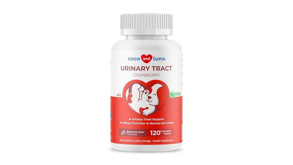 Best Incontinence Medicine for Dogs