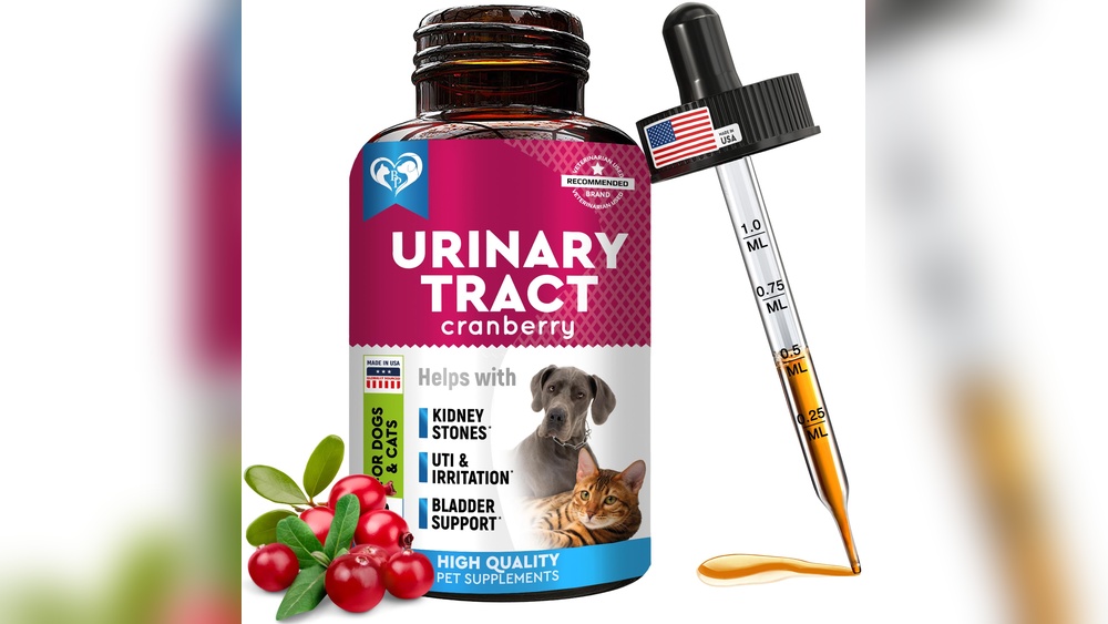 Best Incontinence Medicine for Dogs